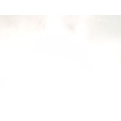 Recambio de inyector para fiat i doblo (223) cargo (2001) 1.9 jtd (223zxe1a) referencia OEM IAM 0445110119  