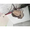 Recambio de caja cambios manual para peugeot 205 ii (20a/c) 1.4 referencia OEM IAM 20CE13  