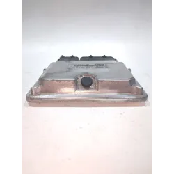 Recambio de centralita inyeccion para volkswagen golf iv (1j1) 1.9 tdi referencia OEM IAM 038906018BL  
