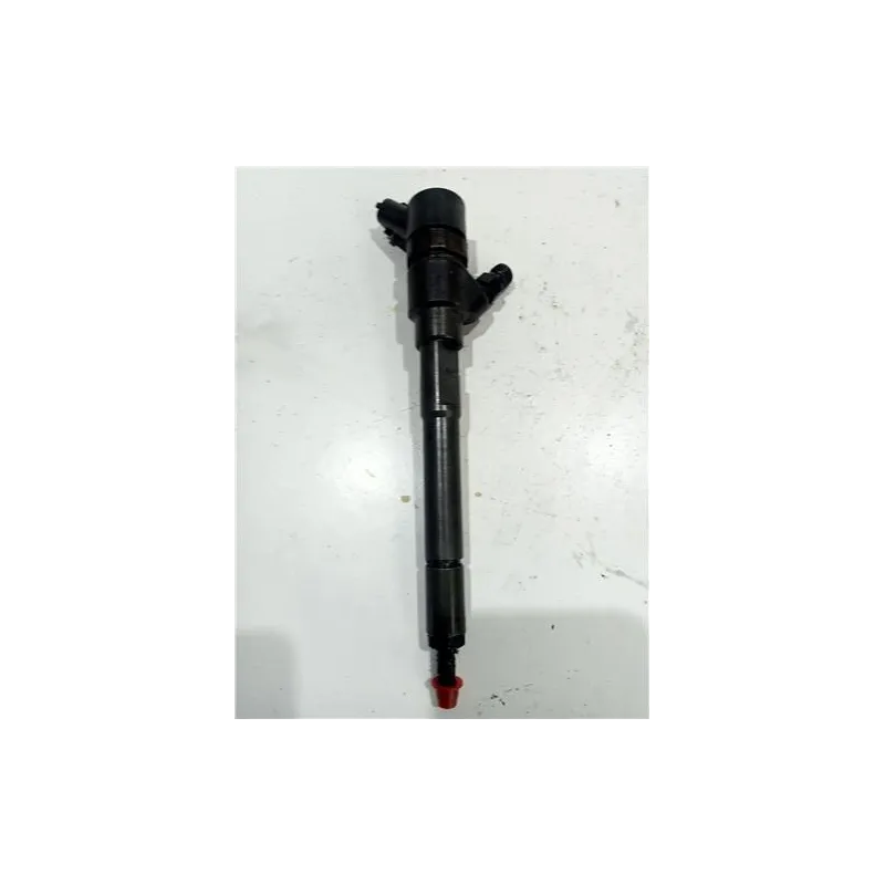 Recambio de inyector para hyundai tucson (jm)(2004) 2.0 referencia OEM IAM 0445110258  