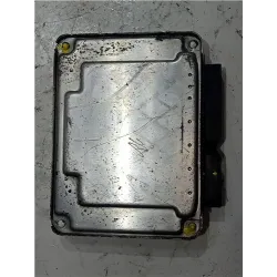 Recambio de centralita inyeccion para seat ibiza (6l1)(04.2002) 1.9 tdi referencia OEM IAM 045906019BG EDC15P+  
