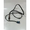 Recambio de sonda lambda para volkswagen golf iii (1h1)(11.1991) 1.9 tdi referencia OEM IAM 0258006029  