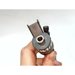 Recambio de inyector para bmw 5 (e39) 530 d referencia OEM IAM 0445110029  