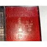 Recambio de piloto trasero izquierdo para seat ibiza (6k1)(1993) 1.4 i referencia OEM IAM E10063289  