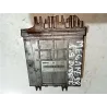 Recambio de centralita inyeccion para renault megane i fase 2 cabriolet (ea...)(1999) referencia OEM IAM 0281001810  
